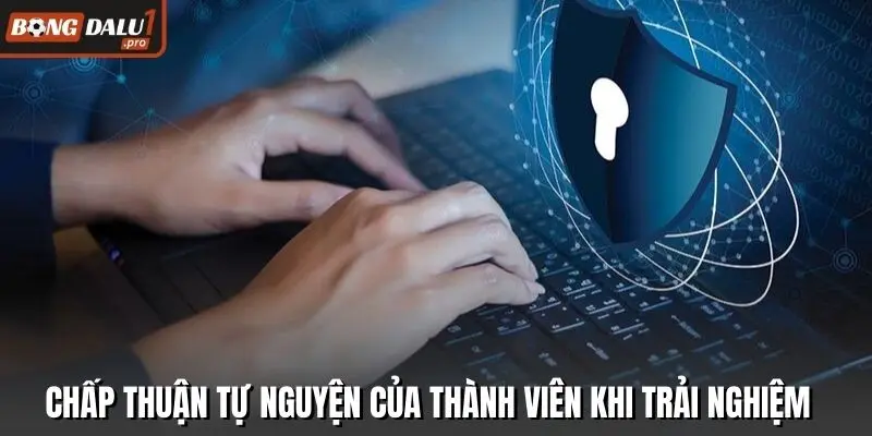 Chấp thuận tự nguyện của thành viên khi trải nghiệm