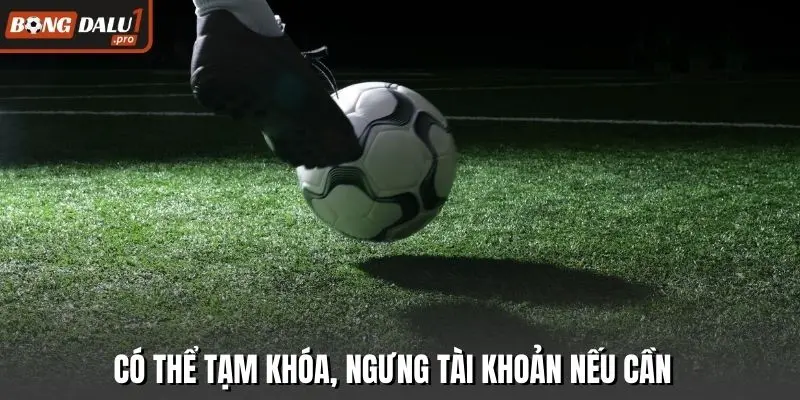 Có thể tạm khóa, ngưng tài khoản nếu cần