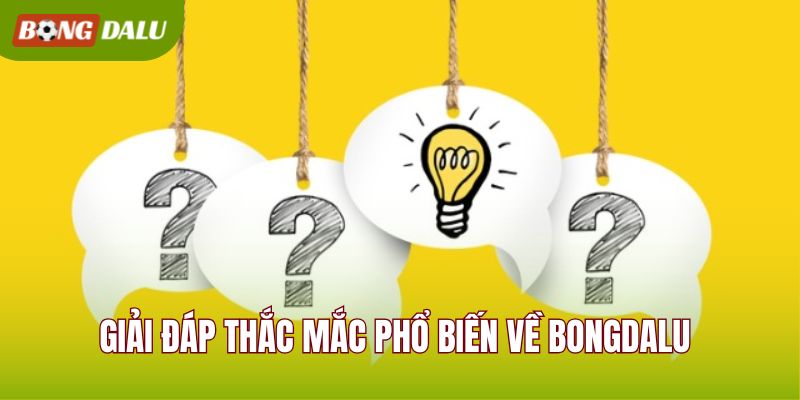 Giải đáp thắc mắc phổ biến về BONGDALU