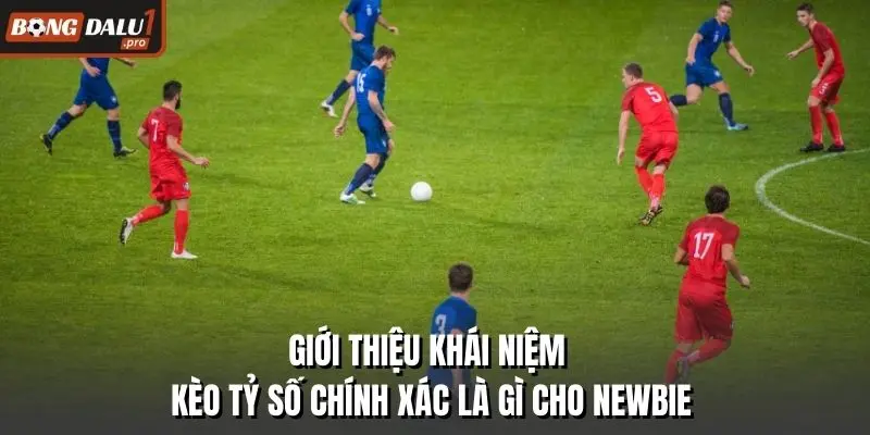 Giới thiệu khái niệm kèo tỷ số chính xác là gì cho newbie