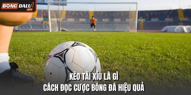 Kèo Tài Xỉu Là Gì
