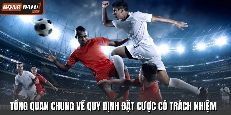 Tổng quan chung về quy định đặt cược có trách nhiệm